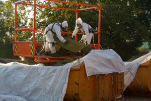 asbestos removal